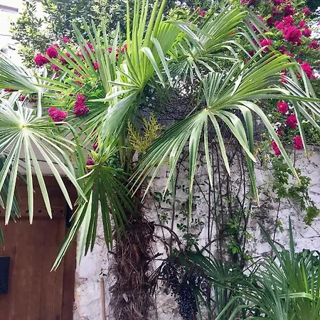 Palmera Mostar Exterior photo