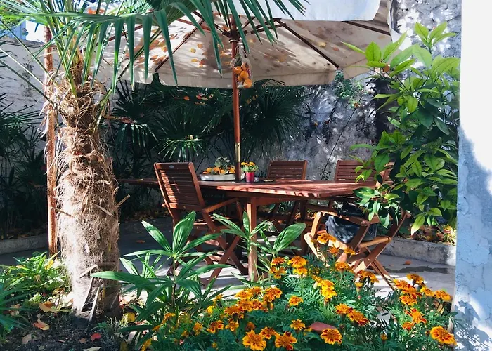 Palmera
