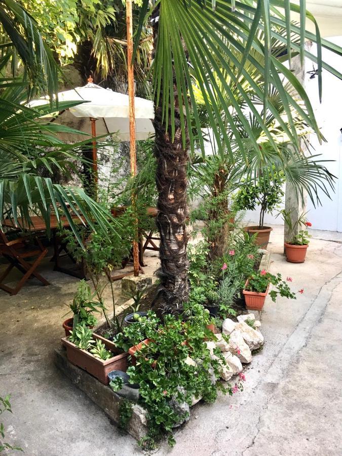 Palmera Lägenhet *