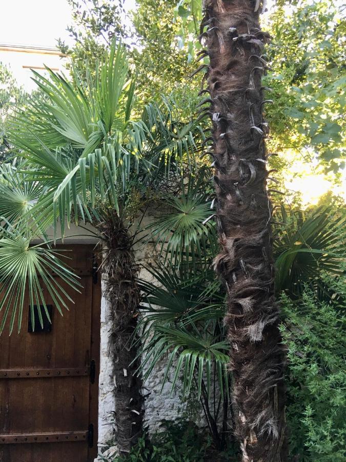 Lägenhet Palmera