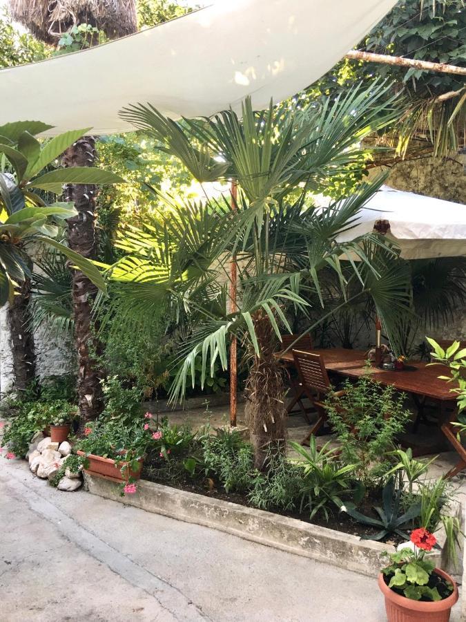 Palmera * Mostar