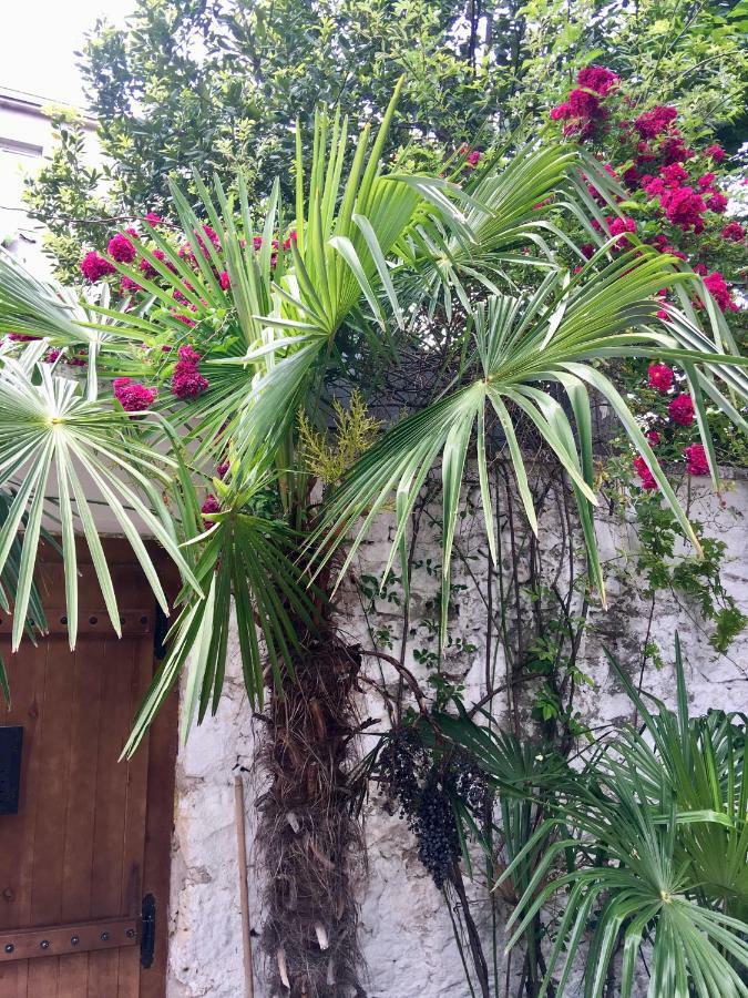 Lägenhet Palmera