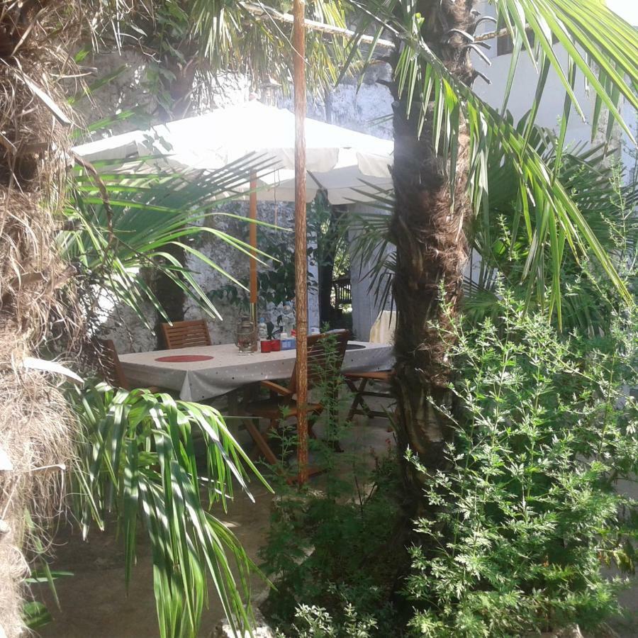 Palmera *
