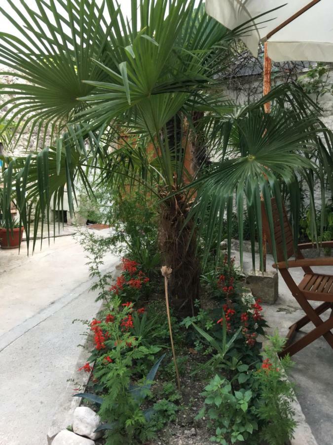 Palmera Lägenhet
