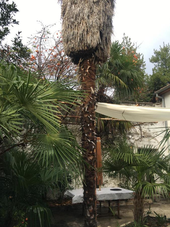 Palmera Lägenhet *